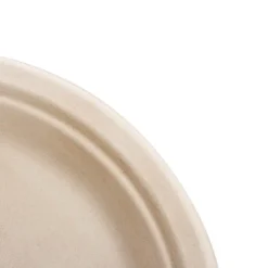 Sugarcane Dinner Plate Natural (23cm) Pack 50