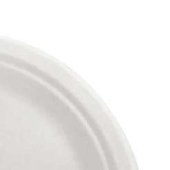 Sugarcane Dinner Plate White (23cm) Pack 50