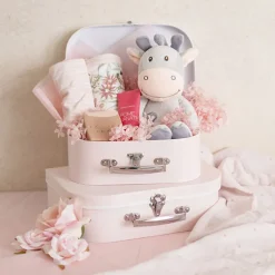 Suitcase Gift Box Baby Pink (30x20x9cmH) Set 2
