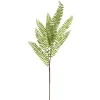 Sword Fern Spray Green (71cmH)