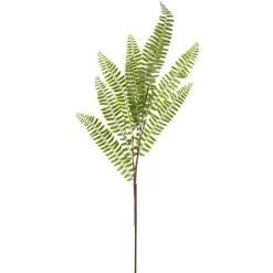 Sword Fern Spray Green (71cmH)