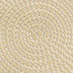 Table Placemat Set 2 Round Rattan Look Champagne (38cmD)