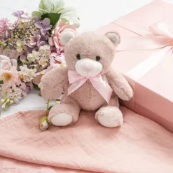 Teddy Bear Bernard Plush Soft Toy Dusty Pink (20cmST)