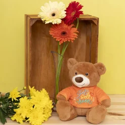 Teddy Bear Caleb w Get Well Soon T-Shirt Orange (21cmST)