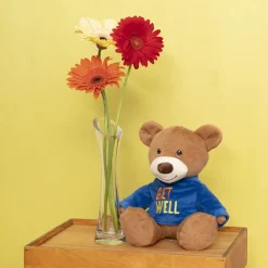 Teddy Bear Caleb w Get Well T-Shirt Blue (21cmST)