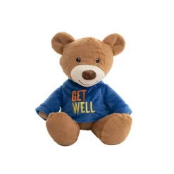 Teddy Bear Caleb w Get Well T-Shirt Blue (21cmST)