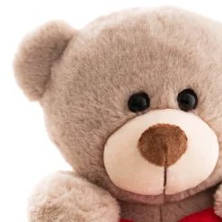Teddy Bear Chubbs w Be Mine Heart Plush Toy Brown (25cmST)