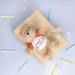 Teddy Bear Message Happy Birthday Orange T Shirt (20cmH)