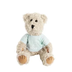 Teddy Bear Message Its a Boy Blue T Shirt (20cmHT)