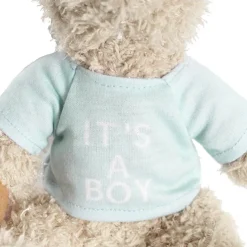 Teddy Bear Message Its a Boy Blue T Shirt (20cmHT)