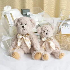 Teddy Bear William Jointed Brown (20cmHT)