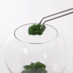 Terrarium Tweezers & Scissor Set