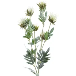 Thistle Flower White (83cmH)
