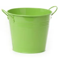 Tin Pot Large side Handles Lime (18Dx15cmH)