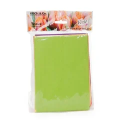 Tissue Paper M Pack 24 Acid Free 17gsm Mix Brights (50x75cm)