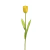 Tulip Single Stem Yellow (58cmH)