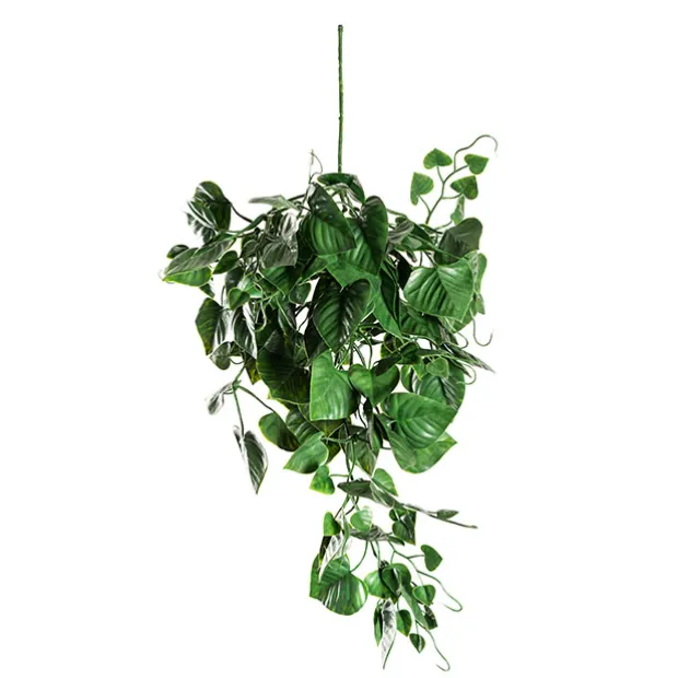UV Treated Hanging Plant Heart Leaf Green (50cmH)