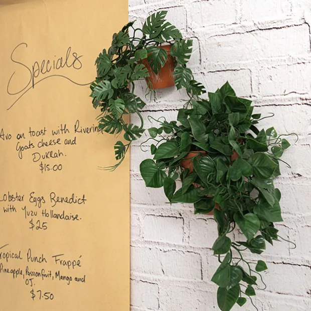 UV Treated Hanging Plant Heart Leaf Green (50cmH)