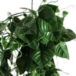 UV Treated Hanging Plant Heart Leaf Green (50cmH)