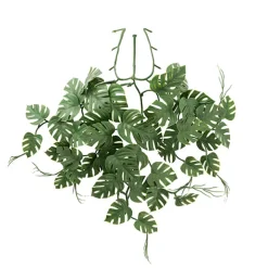 UV Treated Hanging Plant Philo Monstera Green (35cmH)