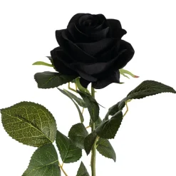Valentina Silk Open Rose Black (65cmH)