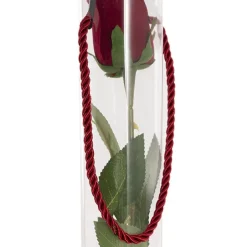 Velvet Rose Bud & Acetate Cylinder Love Tube Red (5.5x60cmH)