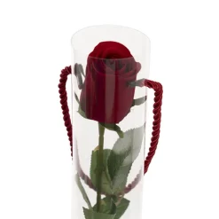 Velvet Rose Bud & Acetate Cylinder Love Tube Red (5.5x60cmH)