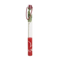 Velvet Rose Bud & Acetate Cylinder Love Tube Red (5.5x60cmH)