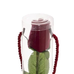 Velvet Rose Bud & Acetate Cylinder Love Tube Red (5.5x60cmH)