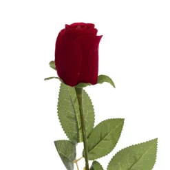 Velvet Rose Bud & Acetate Cylinder Love Tube Red (5.5x60cmH)