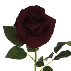 Velvet Rose Full Bloom Stem Burgundy (13cmDx75cmH)