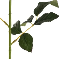 Velvet Rose Full Bloom Stem Burgundy (13cmDx75cmH)