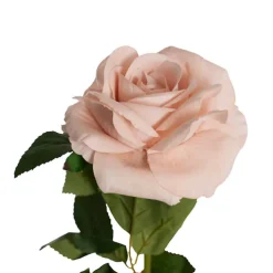 Velvet Rose Full Bloom Stem Powder Pink (13cmDx75cmH)