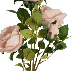 Velvet Rose x 5 Head Spray Powder Pink (75cmH)