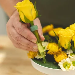 Vials Anchor Style Small 8mL with Cap Pack 50 Green (10cmH)