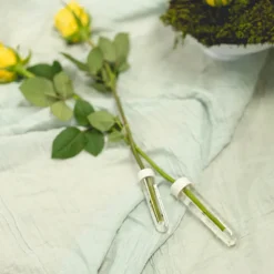 Vials Clear Premium Large 18mL with Cap Pack 10 (9.5cmH)