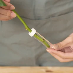 Vials Clear Premium Small 8mL with Cap Pack 50 (8cmH)