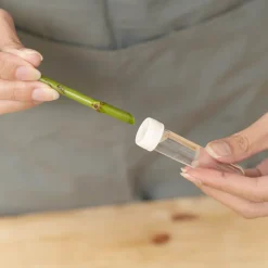 Vials Clear Premium Small 8mL with Cap Pack 50 (8cmH)