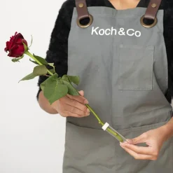 Vials Clear Premium Small 8mL with Cap Pack 50 (8cmH)