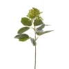 Viburnum Spray Green (32cmH)