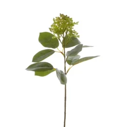 Viburnum Spray Green (32cmH)