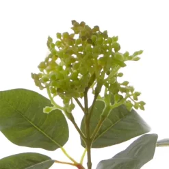 Viburnum Spray Green (32cmH)