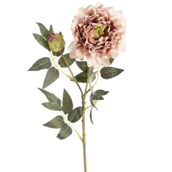 Vintage Peony Spray Dusty Pink (70cmH)