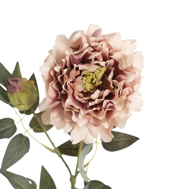 Vintage Peony Spray Dusty Pink (70cmH)
