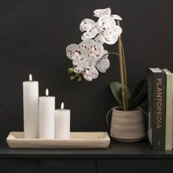 Wax LED Trueflame Event Pillar Candle White (5.5x20cmH)