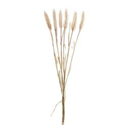Wheat Spray Bunch 6 Head Beige (57cmH)