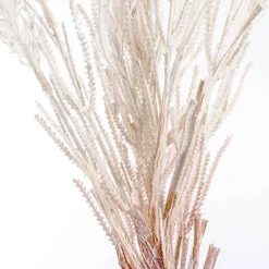 Wheat Spray Cream (104cmH)