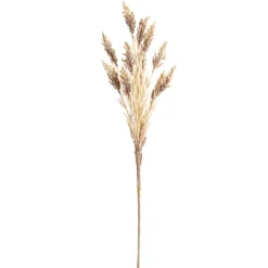 Wheat Spray Soft Almond (104cmH)