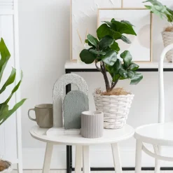 Wicker Planter Eco Forest Round White (19Dx16cmH)