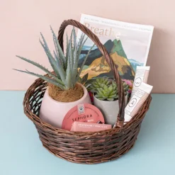 Willow Basket with Handle Round Copper (35cmDx13cmH)